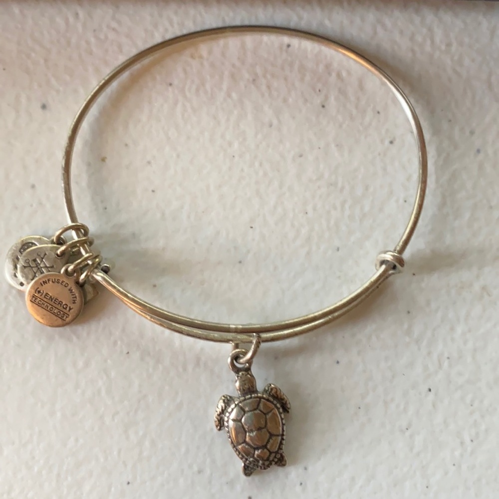 Alex and Ani turtle
